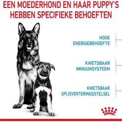 Royal Canin Maxi Starter Mother & Babydog - Puppy-Hondenvoer - 4 kg