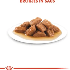 Royal Canin Medium Adult Natvoer - Hondenvoer - 10x140 g