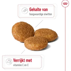 Royal Canin Medium Adult - Hondenvoer