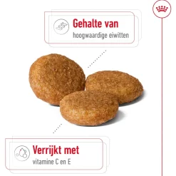 Royal Canin Medium Adult - Hondenvoer