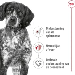 Royal Canin Medium Adult - Hondenvoer
