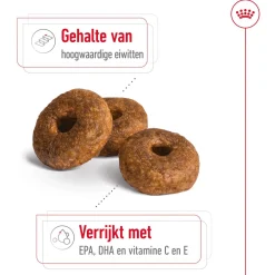 Royal Canin Medium Ageing 10+ - Hondenvoer