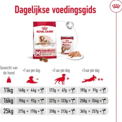 Royal Canin Medium Ageing 10+ - Hondenvoer