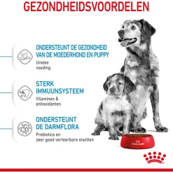 Royal Canin Medium Starter Mother & Babydog - Puppy-Hondenvoer