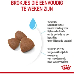 Royal Canin Medium Starter Mother & Babydog - Puppy-Hondenvoer
