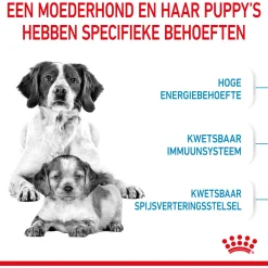 Royal Canin Medium Starter Mother & Babydog - Puppy-Hondenvoer