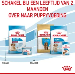 Royal Canin Medium Starter Mother & Babydog - Puppy-Hondenvoer