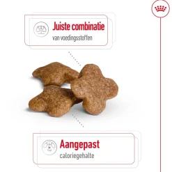 Royal Canin Mini Adult 8+ - Hondenvoer