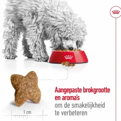 Royal Canin Mini Adult - Hondenvoer