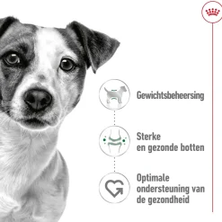 Royal Canin Mini Adult - Hondenvoer