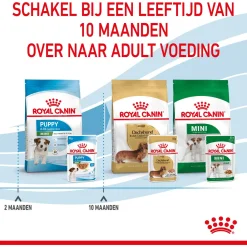 Royal Canin Mini Natvoer - Puppy-Hondenvoer - 12x85 g