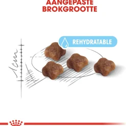 Royal Canin Mother & Babycat - Kitten-Kattenvoer