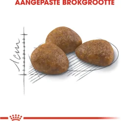 Royal Canin Outdoor 7+ - Kattenvoer