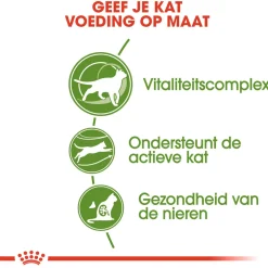 Royal Canin Outdoor 7+ - Kattenvoer