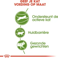 Royal Canin Outdoor - Kattenvoer