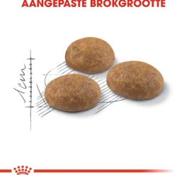 Royal Canin Outdoor - Kattenvoer