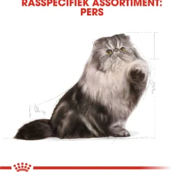 Royal Canin Persian Adult - Kattenvoer