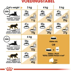 Royal Canin Persian Adult - Kattenvoer