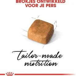 Royal Canin Persian Kitten - Kitten-Kattenvoer - 2 kg