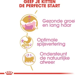 Royal Canin Persian Kitten - Kitten-Kattenvoer - 2 kg