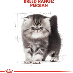 Royal Canin Persian Kitten - Kitten-Kattenvoer - 2 kg