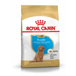 Royal Canin Poodle - Puppy-Hondenvoer - 3 kg