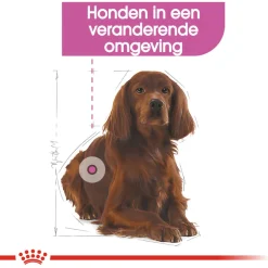 Royal Canin Relax Care Medium - Hondenvoer