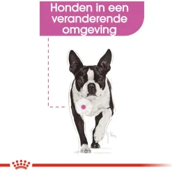 Royal Canin Relax Care Natvoer - Hondenvoer - 12x85 g