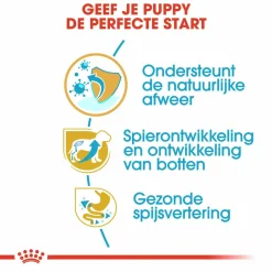 Royal Canin Rottweiler - Puppy-Hondenvoer