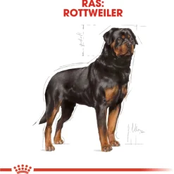 Royal Canin Rottweiler Adult - Hondenvoer