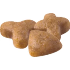 Royal Canin Sensible 33 - Kattenvoer