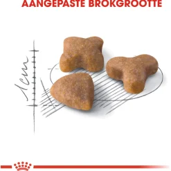 Royal Canin Sensible 33 - Kattenvoer