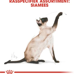 Royal Canin Siamese Adult - Kattenvoer