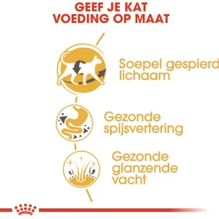 Royal Canin Siamese Adult - Kattenvoer