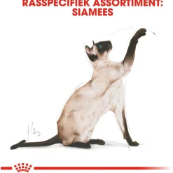 Royal Canin Siamese Adult - Kattenvoer