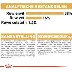Royal Canin Siamese Adult - Kattenvoer