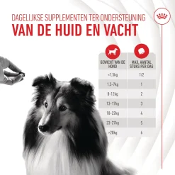 Royal Canin Skin & Coat Chews - Hondensnacks - 240 g