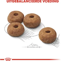 Royal Canin Sterilised Medium - Hondenvoer