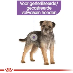 Royal Canin Sterilised Mini - Hondenvoer
