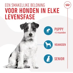 Royal Canin Training Treats - Hondensnacks - 110 g