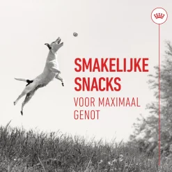 Royal Canin Training Treats - Hondensnacks - 110 g