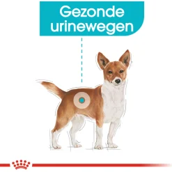 Royal Canin Urinary Care Natvoer - Hondenvoer - 12x85 g