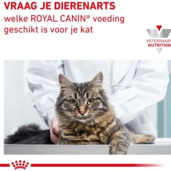 Royal Canin Veterinary Diet Gastro Intestinal Moderate Calorie - Kattenvoer