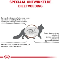 Royal Canin Veterinary Diet Fibre Response - Kattenvoer