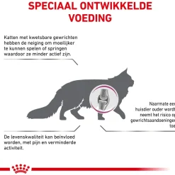Royal Canin Veterinary Diet Mobility - Kattenvoer