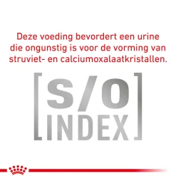 Royal Canin Veterinary Diet Cat Skin & Coat - Kattenvoer