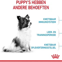 Royal Canin X-Small - Puppy-Hondenvoer