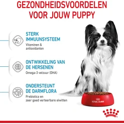 Royal Canin X-Small - Puppy-Hondenvoer