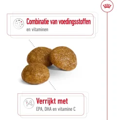 Royal Canin X-Small Adult 8+ - Hondenvoer