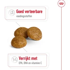 Royal Canin X-Small Adult - Hondenvoer